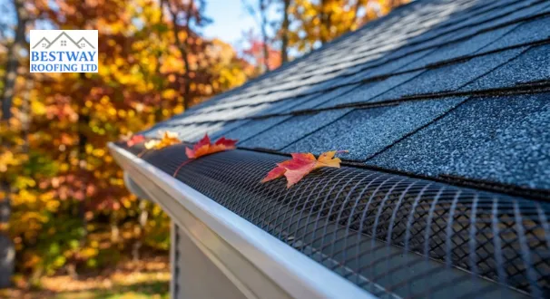 gutter guard mesh preventing leaves entering uPVC gutter system
