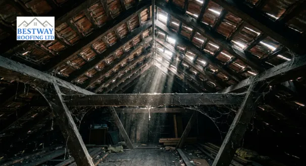 Daylight streaming through gaps in a UK loft roof, showing warning signs that a roof is failing and needs inspection