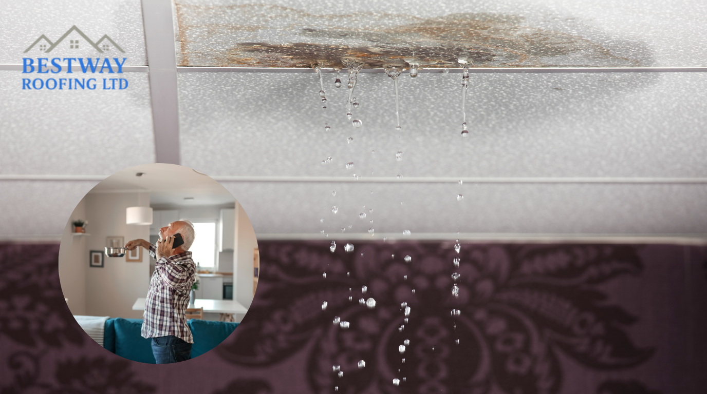 roof is leaking what should I do